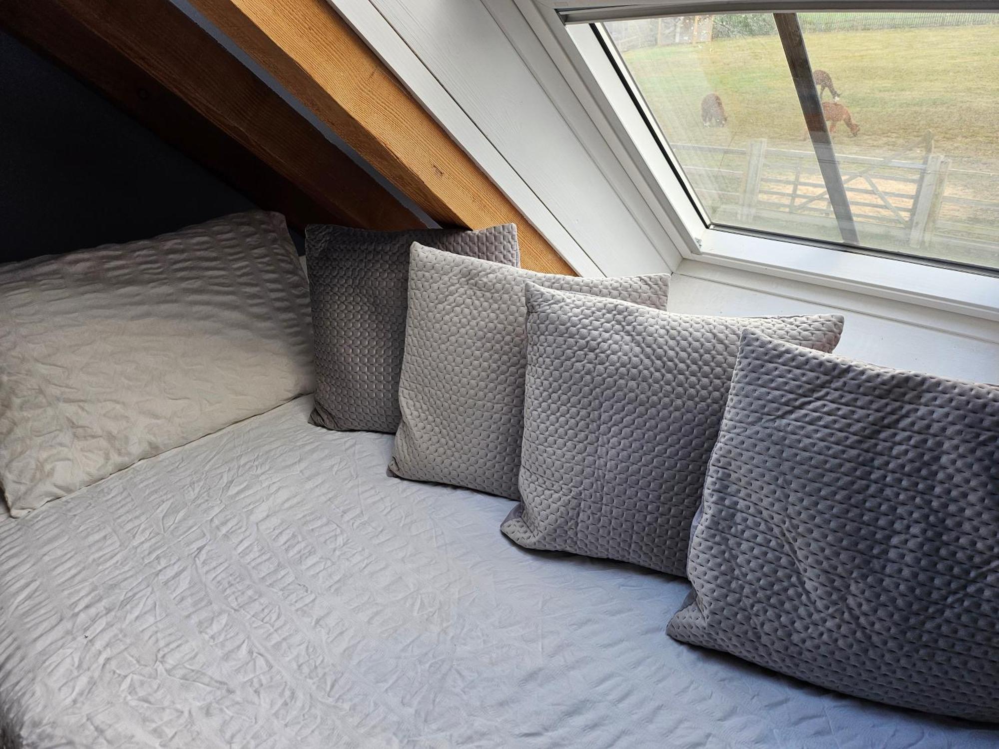 Villa Alpaca House - Sleeps 17 - Diy Hot Tub Gravesend Exterior foto