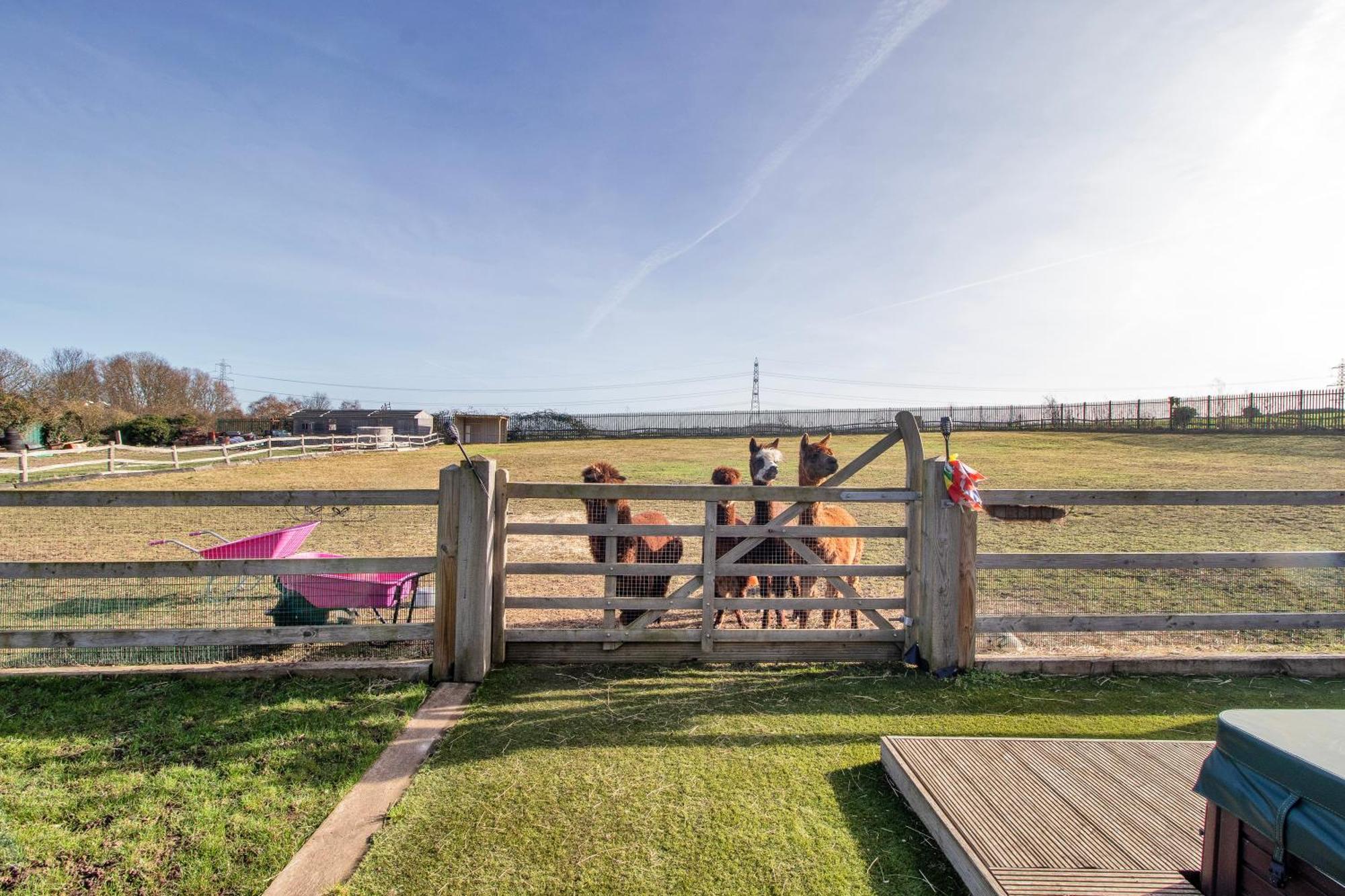 Villa Alpaca House - Sleeps 17 - Diy Hot Tub Gravesend Exterior foto